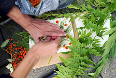 kädet ja erilaisia luonnonmateriaaleja