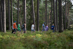 Joukko leiriläisiä kävelemässä metsässä aurinkoisena päivänä
