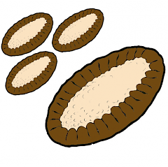 Piirroskuva, jossa on neljä eri kokoista karjalanpiirakkaa.